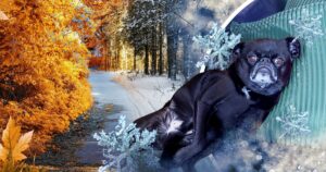 Останні теплі дні: Україну чекають +20°C, дощі та штормовий вітер 29 жовтня