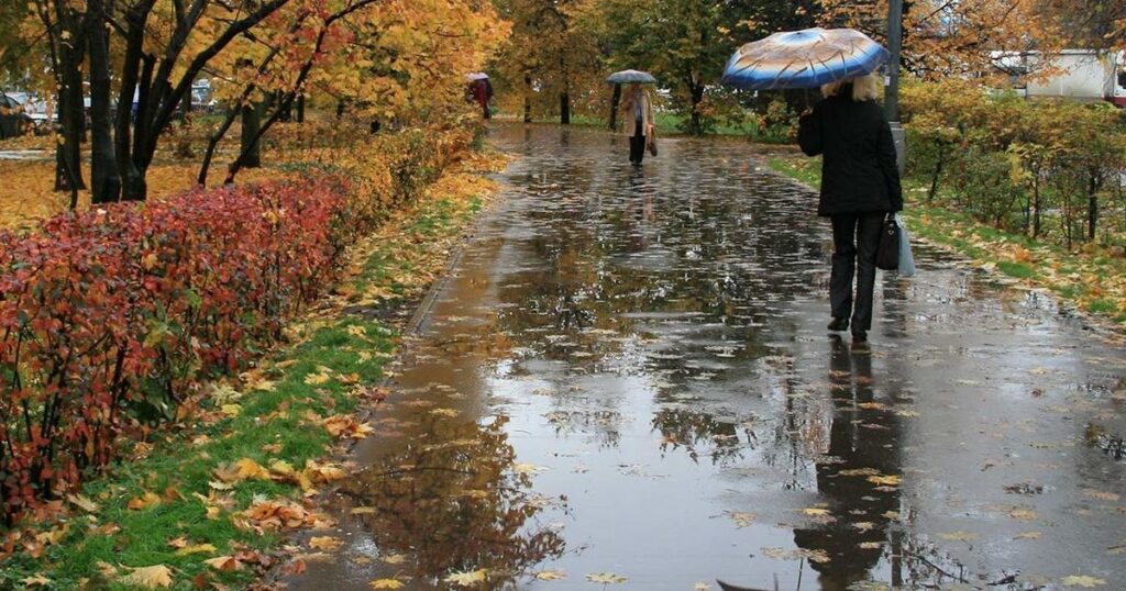 Київ накриють потужні дощі: синоптики розповіли, коли у столиці зіпсується погода Київ накриють потужні дощі: синоптики розповіли, коли у столиці зіпсується погода