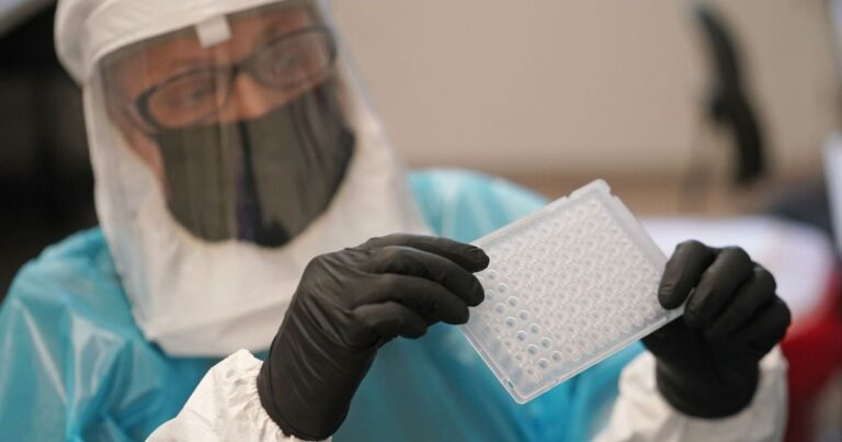 Віспа Мавп у Росії: Офіційна Заява та Поради щодо Легкої Форми Хвороби