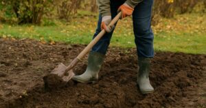 Осіння Підготовка Городу: Ваш Ключ до Щедрих Врожаїв Наступного Року