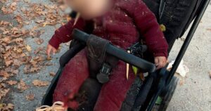Ангеліні було трохи більше року: РФ убила в парку немовля з мамою і ще одну дитину: Зеленський про деталі трагедії
