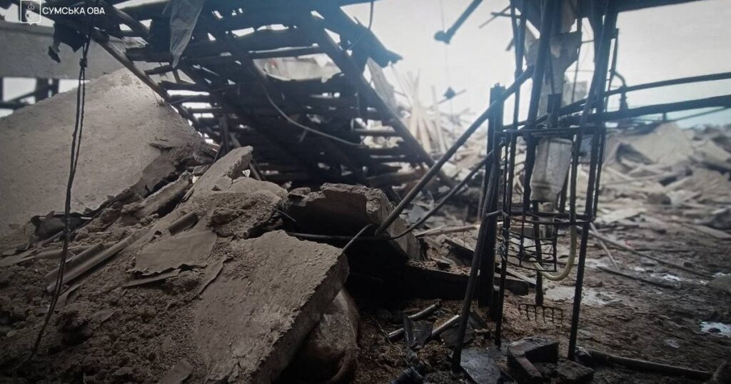 РФ посеред дня прицільно вдарила по фермі: загинула жінка і тварини — моторошні фото